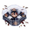 Cockroach Killer Trap
