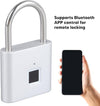 Electric Keyless Fingerprint Padlock